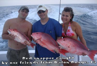 Nice red snapper